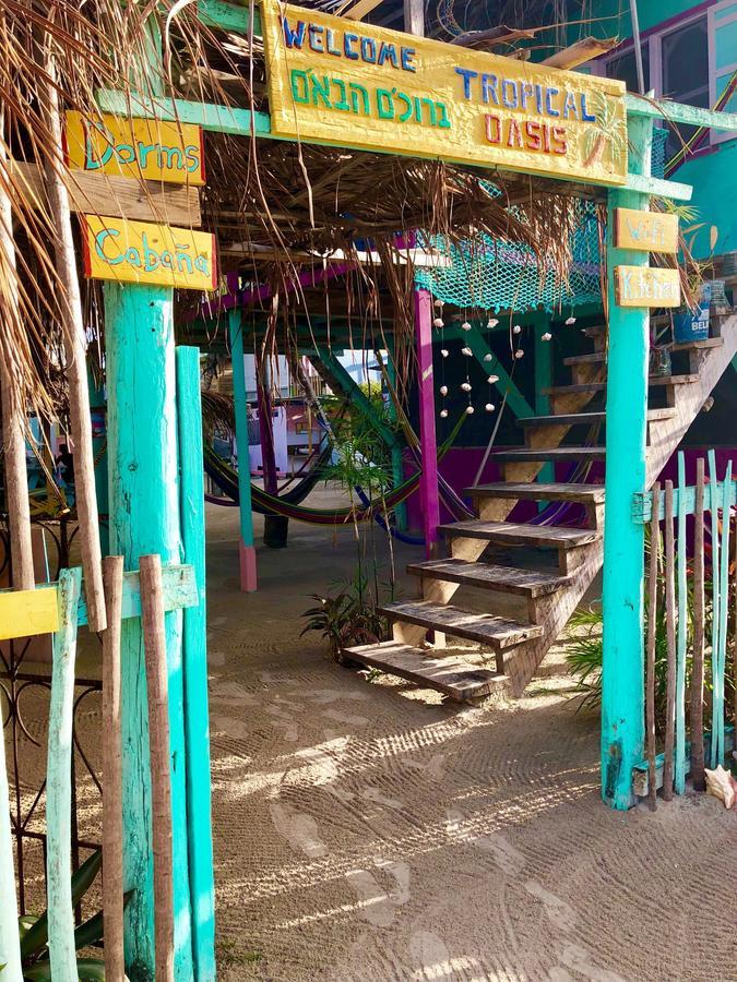 Tropical Oasis Hostel Caye Corker Екстериор снимка