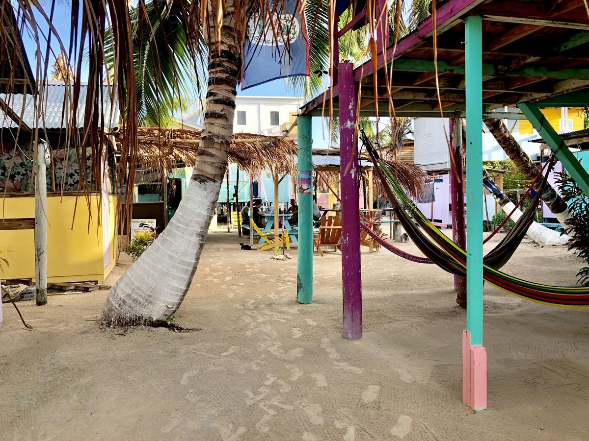 Tropical Oasis Hostel Caye Corker Екстериор снимка