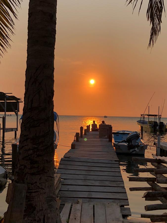 Tropical Oasis Hostel Caye Corker Екстериор снимка