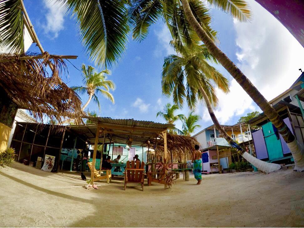 Tropical Oasis Hostel Caye Corker Екстериор снимка